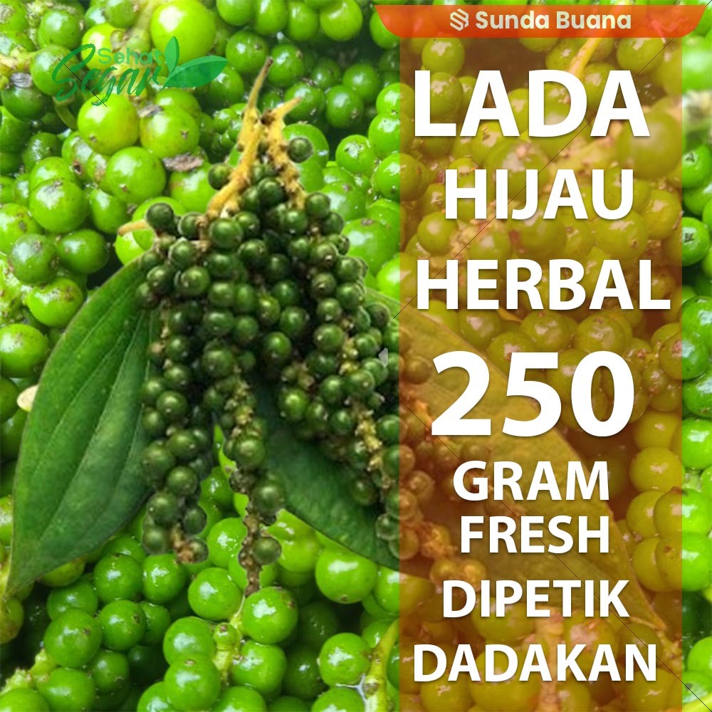 

Lada Hijau Segar 250 gram rempah dan herbal alami