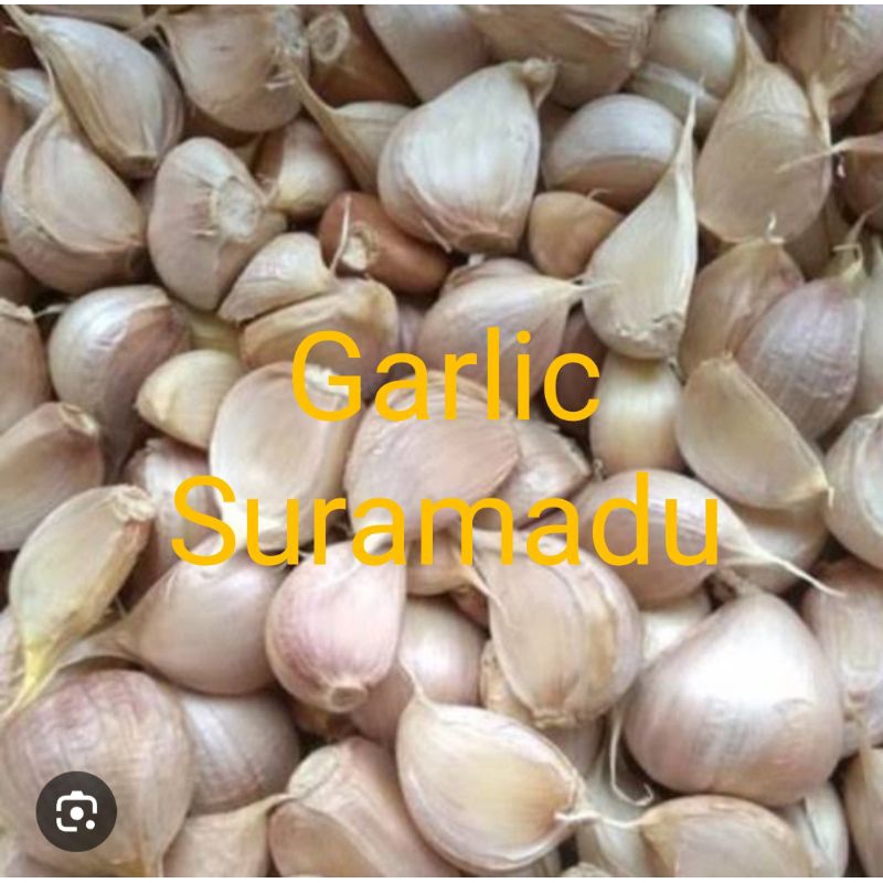 

bawang putih kating