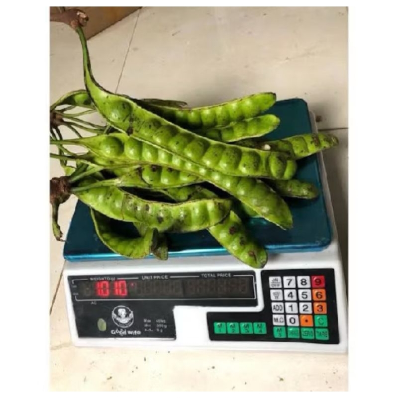 

pete sortir 1kg