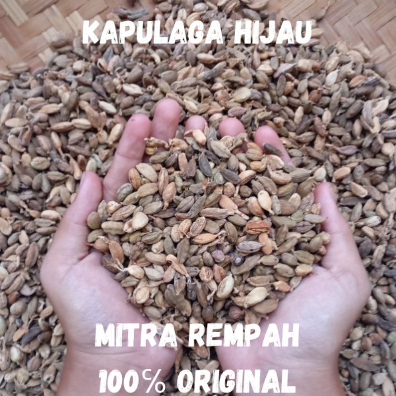 

Kapulaga Arab 100gram / Kapulaga Hijau / Kapulaga India