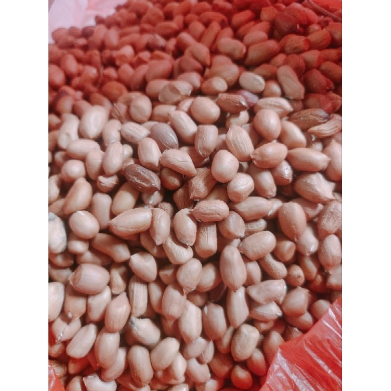 

kacang tanah kupas manual bisa tuk bibit 1kg