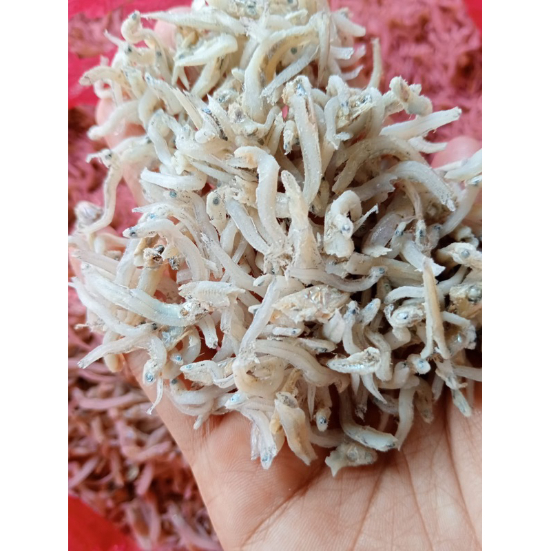 

Teri Rebus Medan 1kg