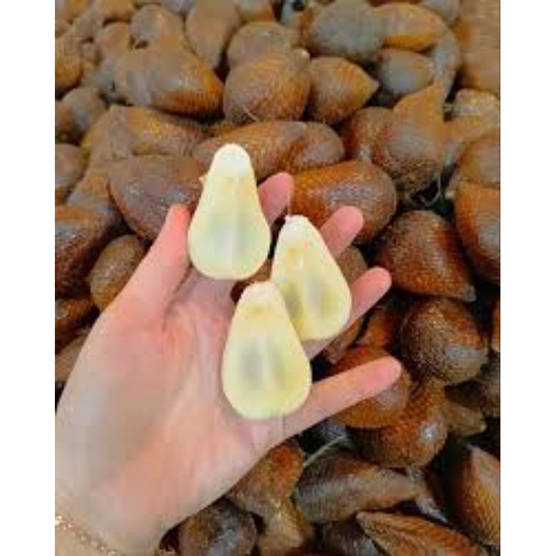 

Salak buah 500gram/ buah salak 500gram