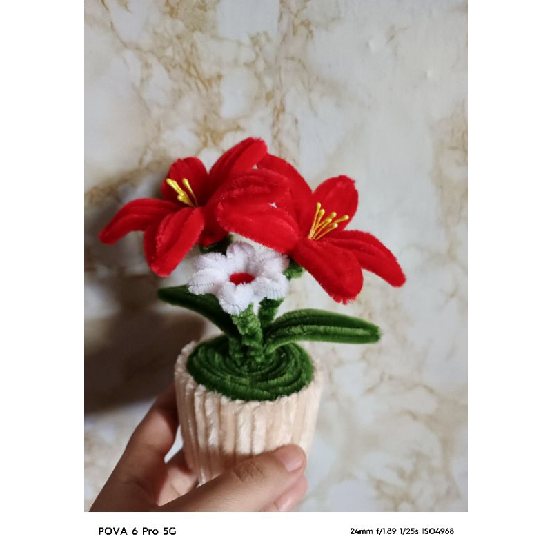 pot bunga mini lili merah