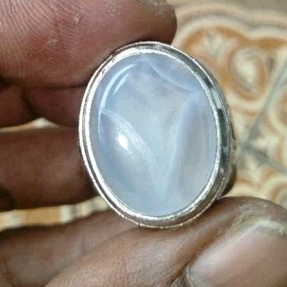 Batu Cempaka/Anggure Putih Kantong Semar Karang Nunggal Asli Semeru Lumajang