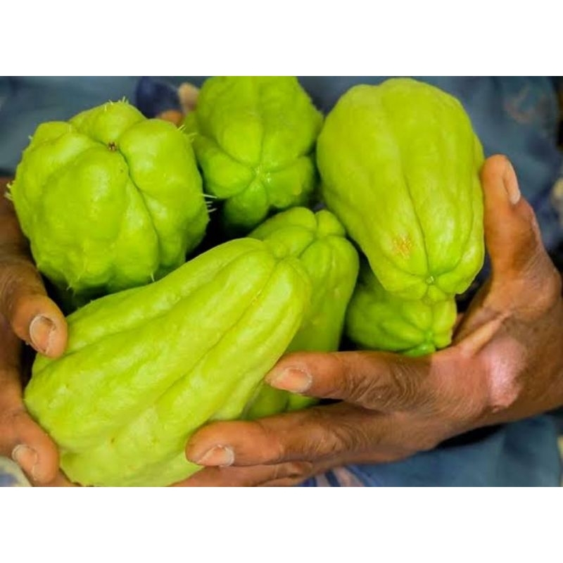 

KEBUN_ALAN-Labu Siam/Jipang Sayur Siap Konsumsi (Perbuah/Pcs)