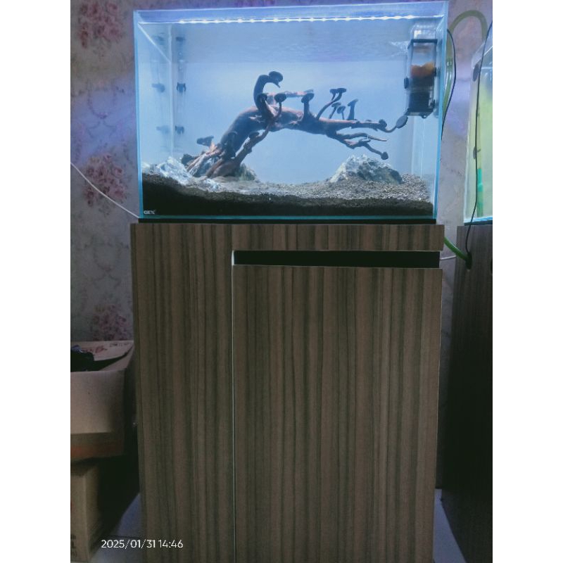 Aquarium 60cm Kaca Clear plus cabinet dan perlengkapan lainnya tinggal planting (kasih tanaman air)