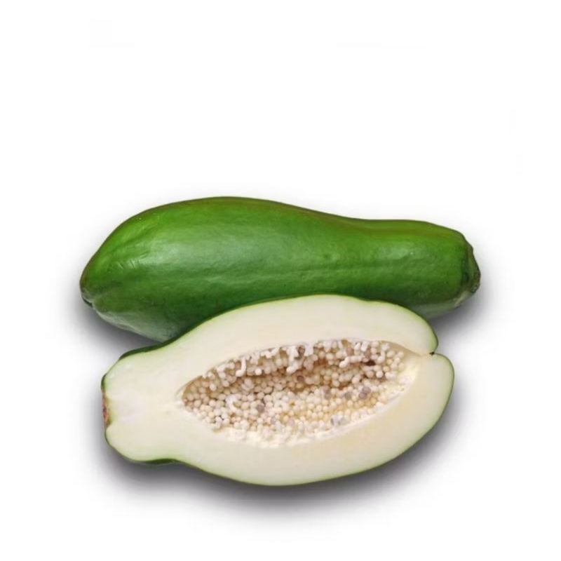 

Buah Pepaya Muda Segar Berkualitas untuk gudeg 1-3 kg