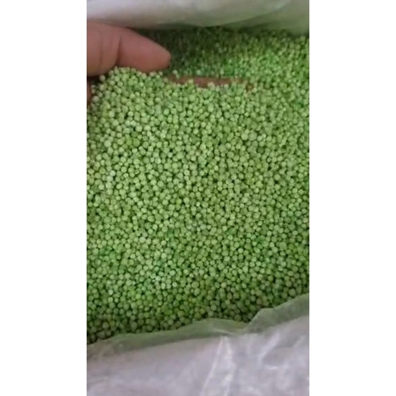 

Sagu Mutiara Hijau Thailand Asli Repack 1kg