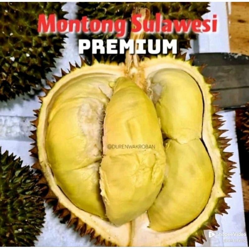 

DURIAN MONTONG FRESH