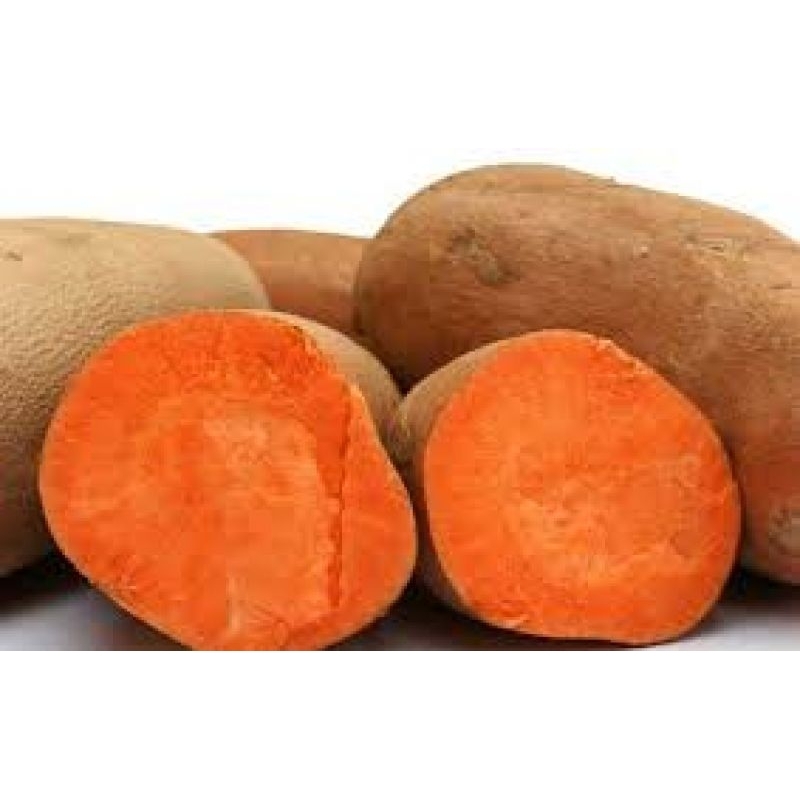 

Ubi jalar Tela orange