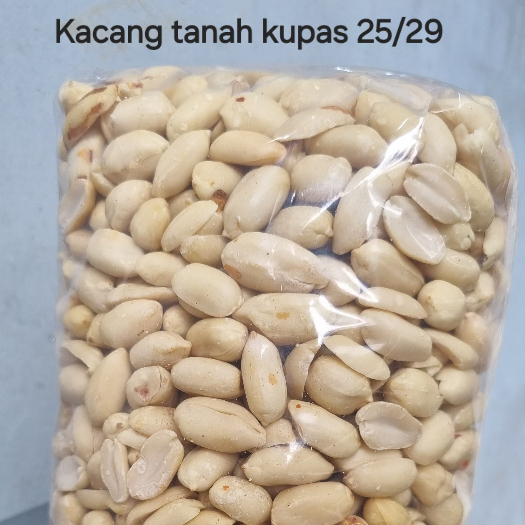 

Kacang Tanah Kupas Mentah 1 Dus ( 25kg ) 1 Bal ( 12,5kg )