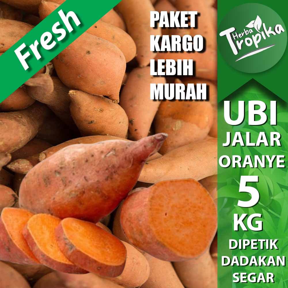 

Paket Kargo Umbi Ubi Jalar Oranye 5 kg fresh kualitas unggul toko herba tropika