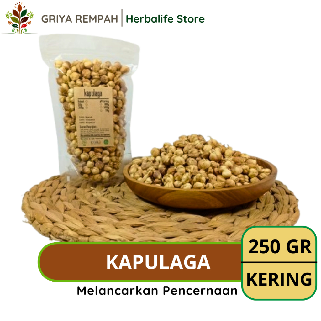 

KAPULAGA KERING 250 GRAM Kapulogo Rempah Herbal Simplisia Alami Premium untuk Ramuan Jamu Tradisional & Kesehatan Bumbu Dapur Masak Elettaria cardamomum