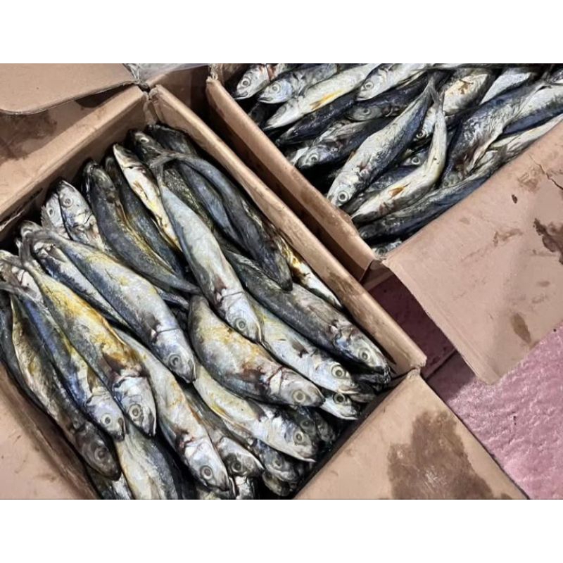 

ikan asin - ikan asin klotok - ikan klotok - seafood kering - Berat 250gram - 500gram