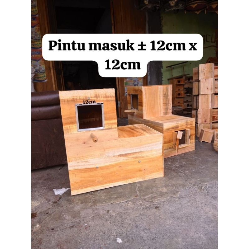 Glodok Burung Afgrey Nuri Beo Bentuk L Ukuran Jumbo Glodok Pantau L jumbo