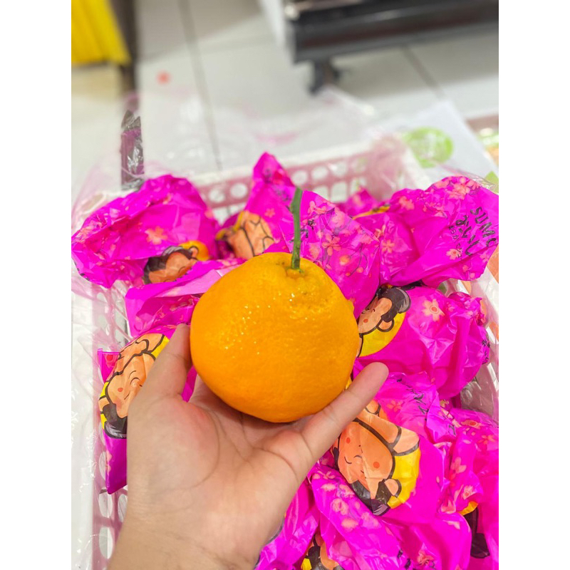 

jeruk dekopon manis tanpa biji