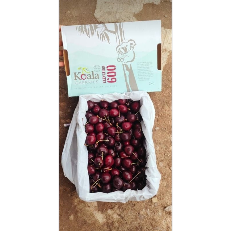 

1KG PROMO CHERRY AUSTRALIA MURAH CERI MERAH ENAK