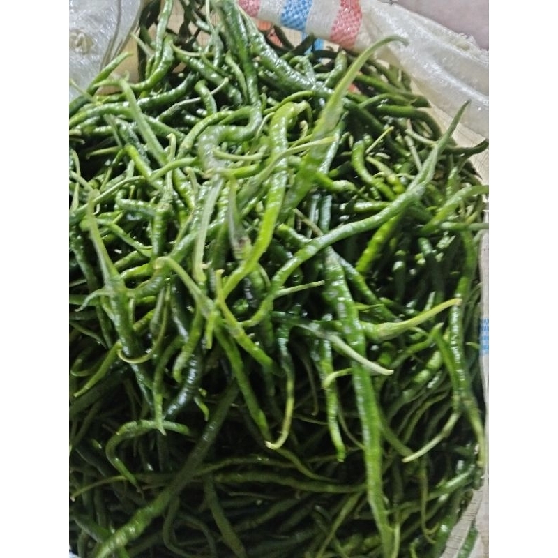 

cabe hijau