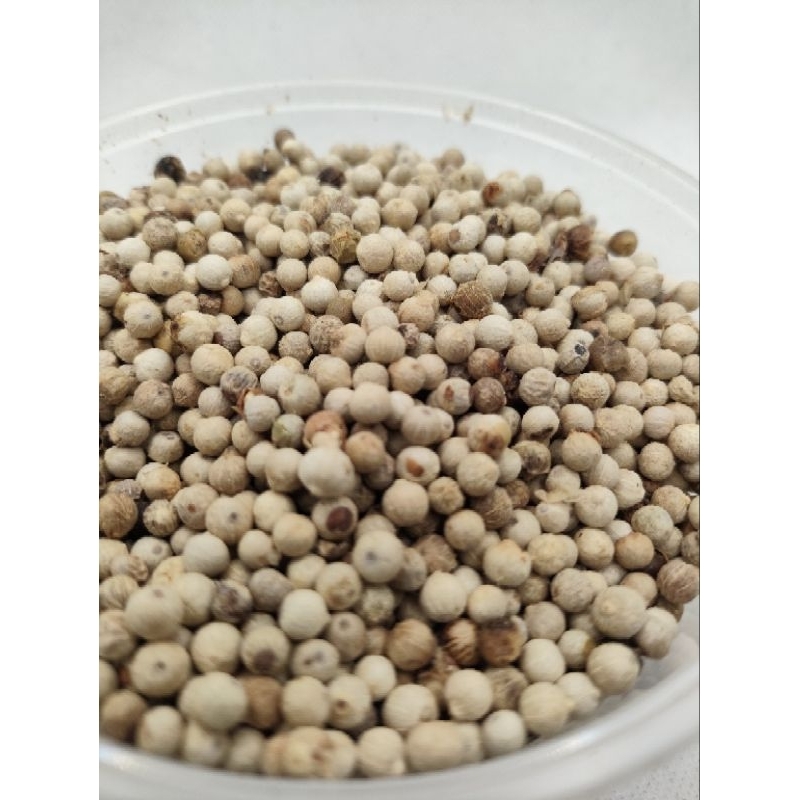 

MERICA / LADA PUTIH BUTIR / WHITE PEPPER