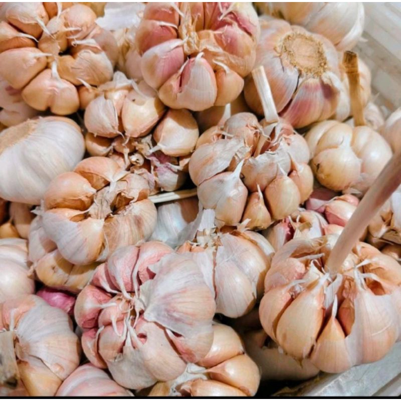 

1 kg bawang putih premium jumbo