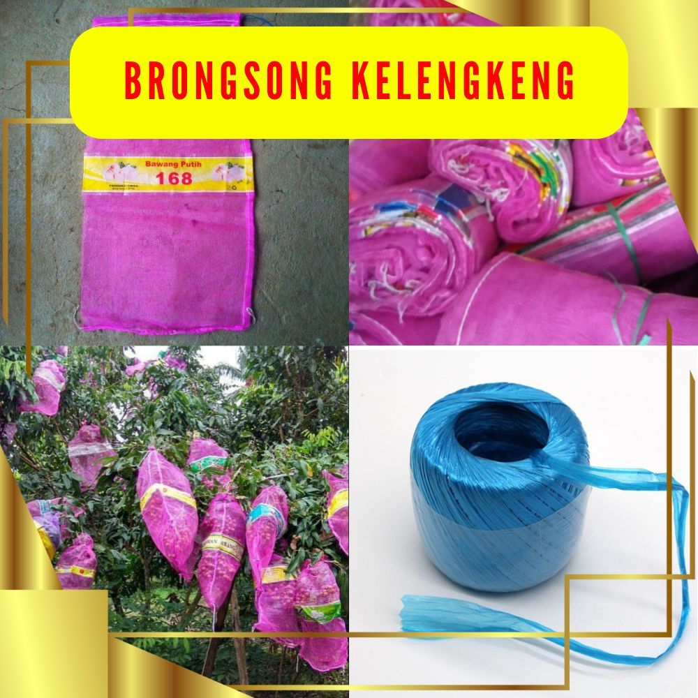 TERLARIS  Brongsong Kelengkeng Dengan Tali Isi 10pcs