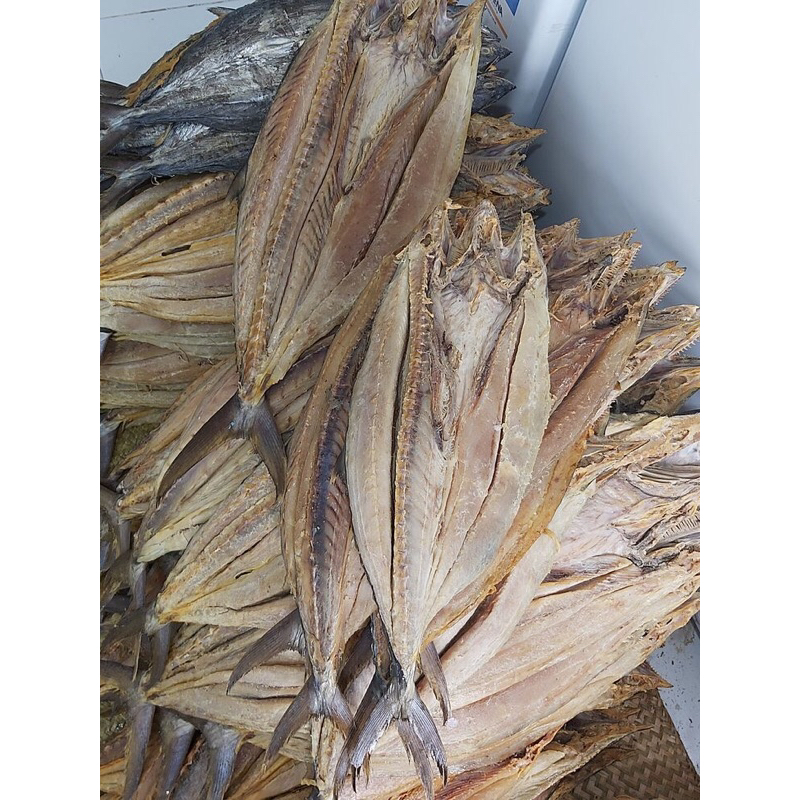 

telang tenggiri asli kotabaru