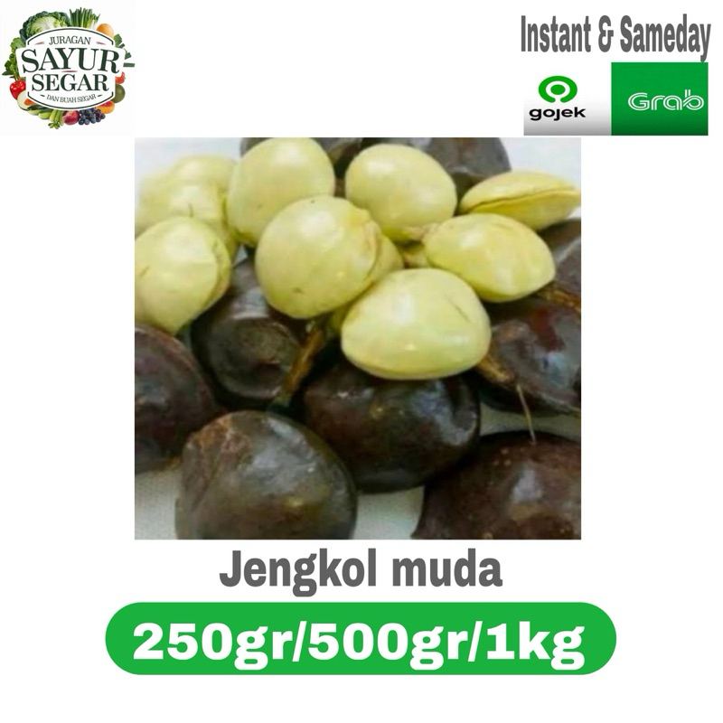

JENGKOL MUDA KULIT murah 250gr/500gr/1kg