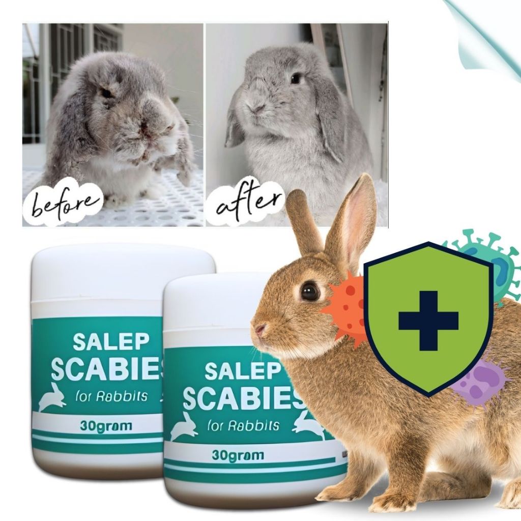 Wulann_Gemintang Salep Scabies Obat Jamur Kelinci Super Ampuh Fefarm