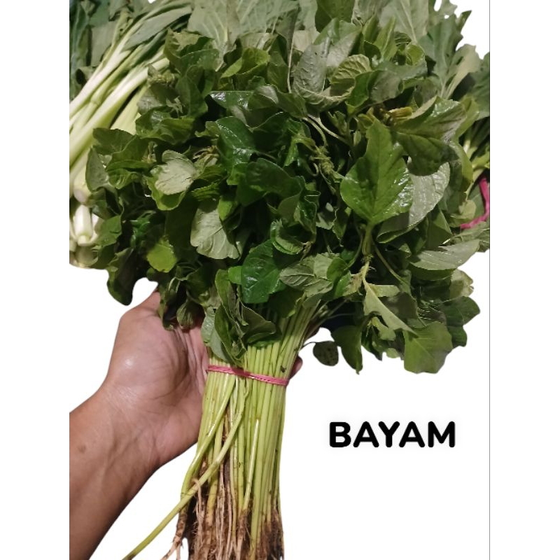 

Bayam / Daun Bayam 1 ikat