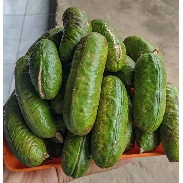1kg KABAU TUA / JOLANG JALING MASIH KULIT ASLI SUMATERA