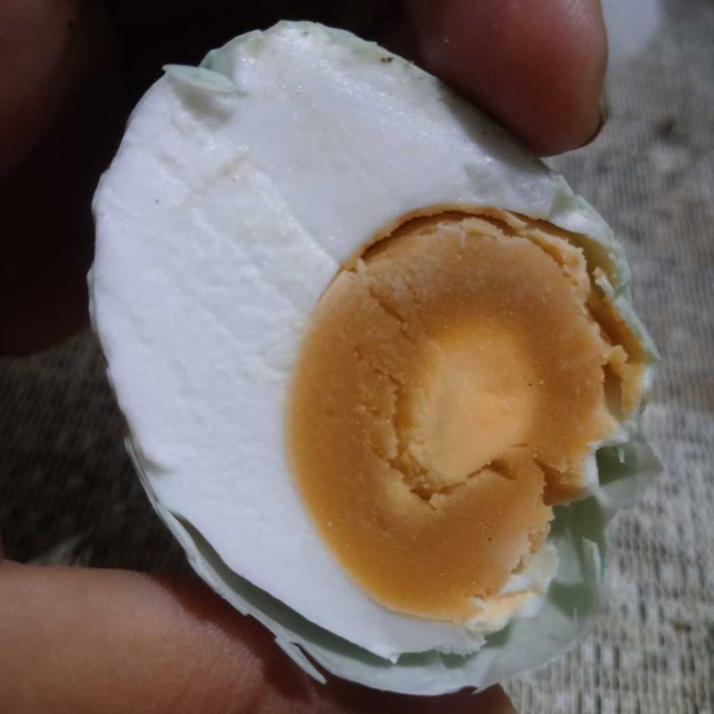 

TELUR ASIN BREBES ASLI DIJAMIN MASIR