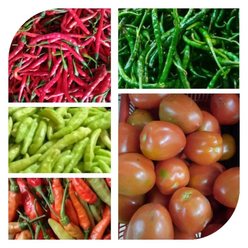 

Cabe Merah Keriting / Cabe Galak / Cabe Hijau / Cabe Rawit Hijau / Cabe Rawit Merah / Lombok / Cabai