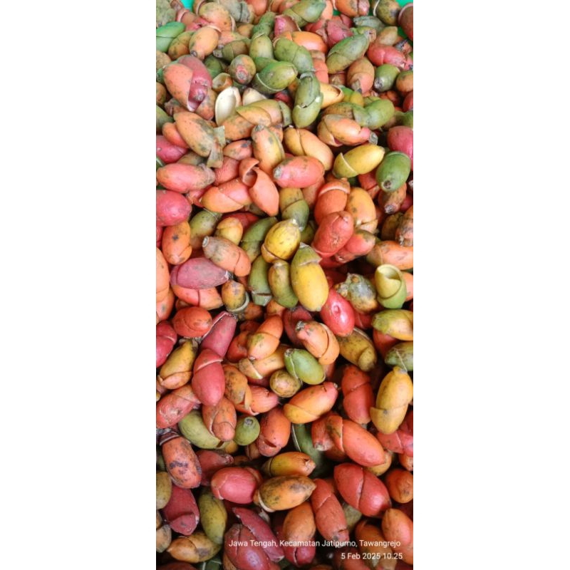 

kulit mlinjo 1kg