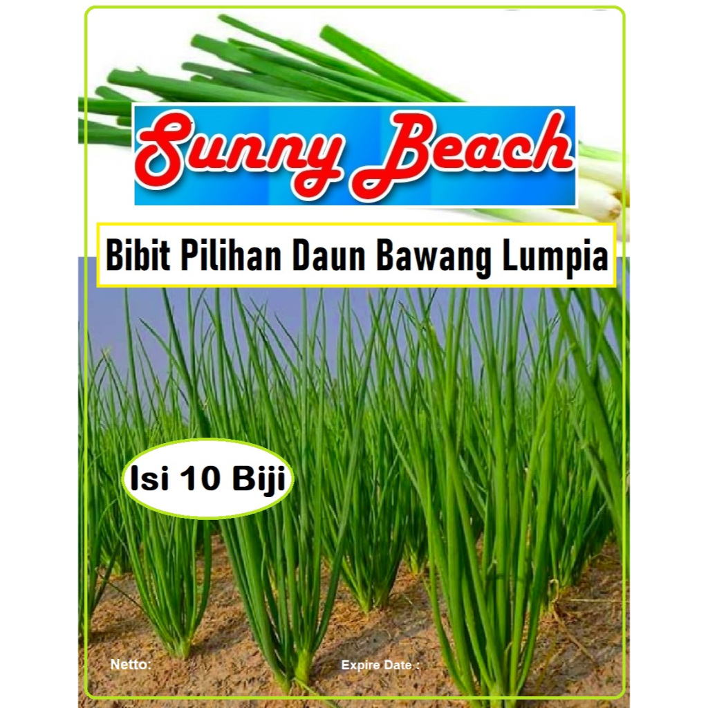 Bibit Pilihan Daun Bawang Lumpia | Biji Benih Daun Bawang | Bibit Bawang Daun