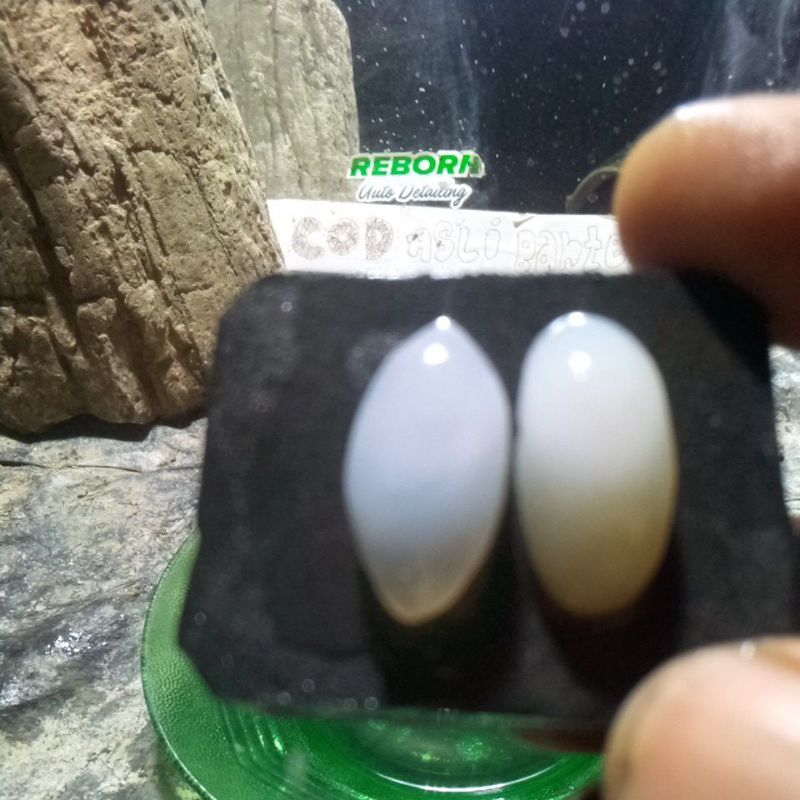 batu kalimaya polkasan asli banten