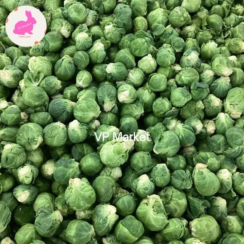 

Brussel Sprout Fresh | Kubis Mini -+300g