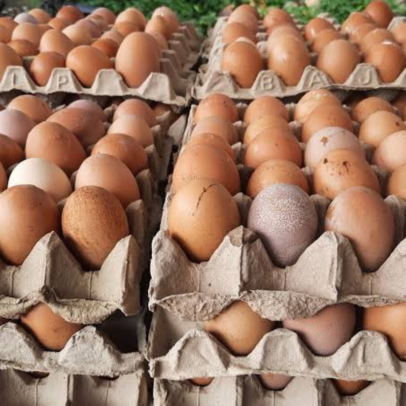 

Telur Telor ayam negeri, telor ayam lehorn 500gr