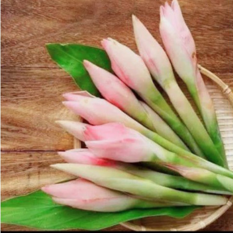 

Jual bunga kecombrang / bunga romeh fresh segar