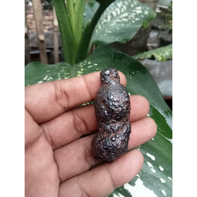 temuan Batu asam Jawa kendeng asli