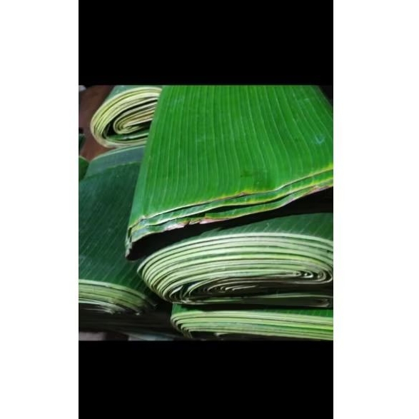 

Daun pisang hijau segar