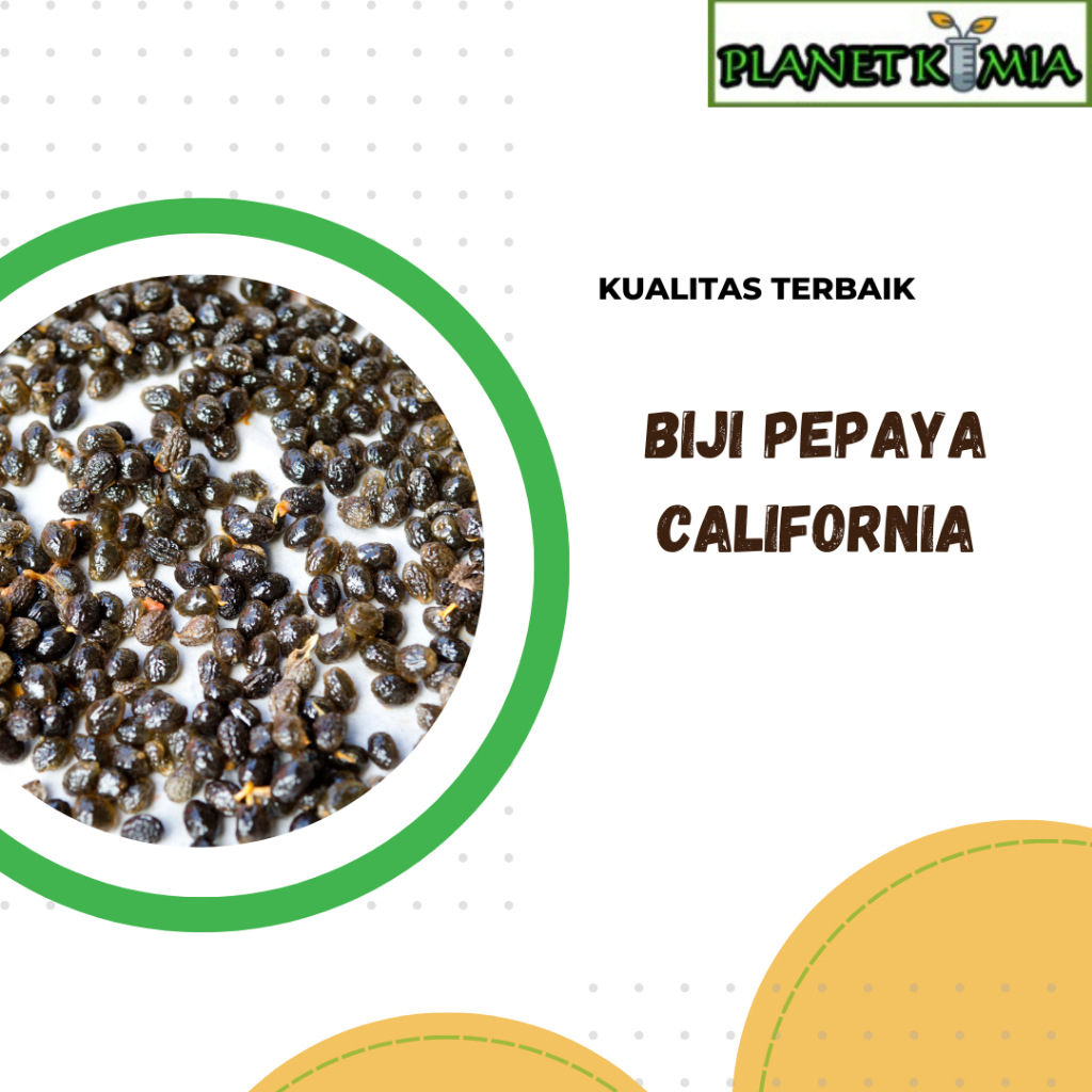 

dried,serbuk biji buah pepaya california best product