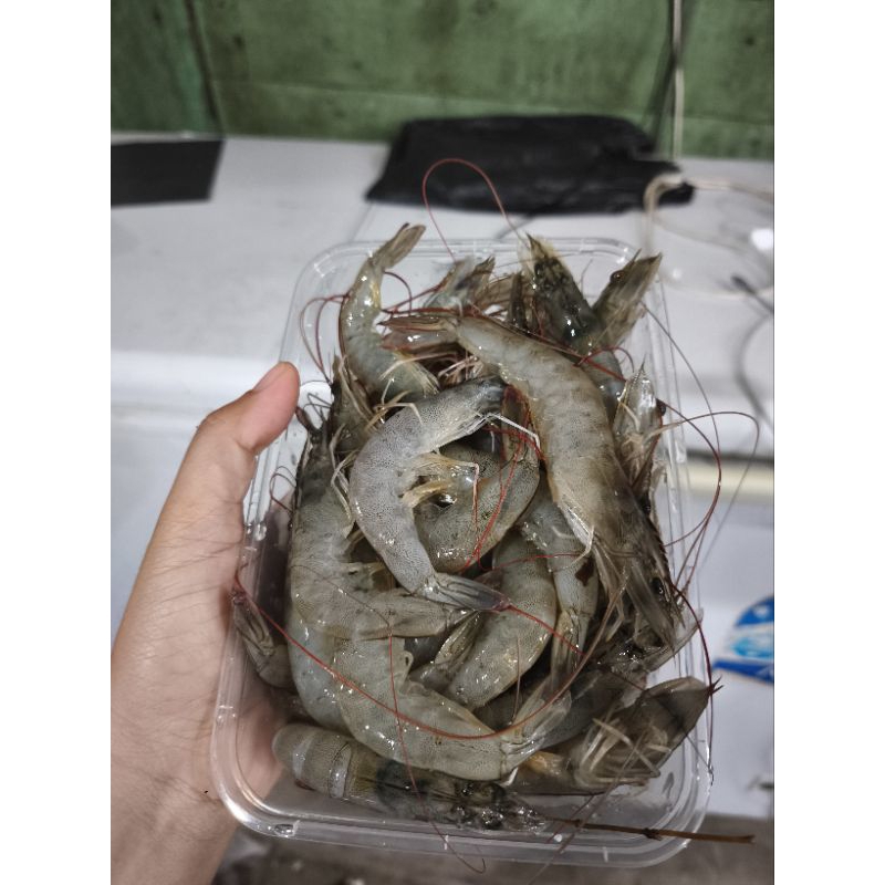 

udang sz.campur