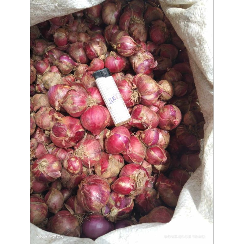 

bawang merah super 1 kg