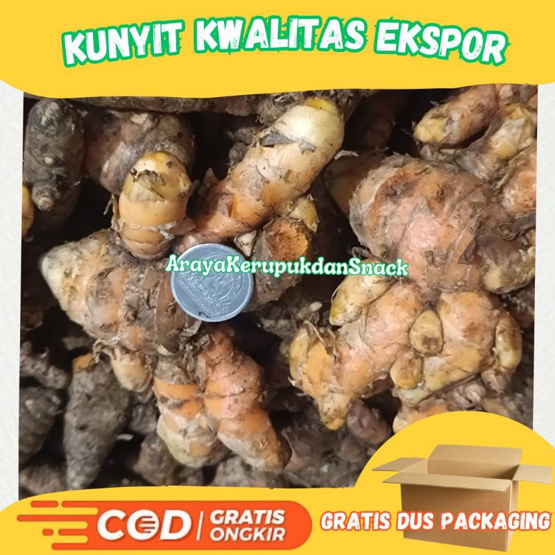 

[ 1 Kg ] Kunyit Segar - Kunir Segar - Empon-empon - Kunyit Asli - Kunyit Fresh