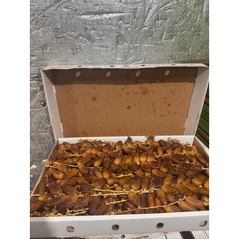 

kurma tunis tangkai