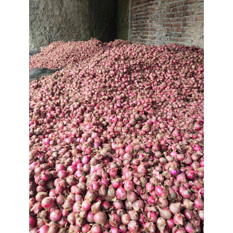 

Bawang Merah