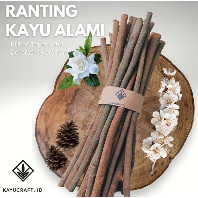TERMURAH Ranting kering pohon dekorasi( isi 35 ) Panjang 30 cm