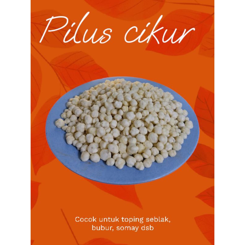 

Pilus Cikur 500gr