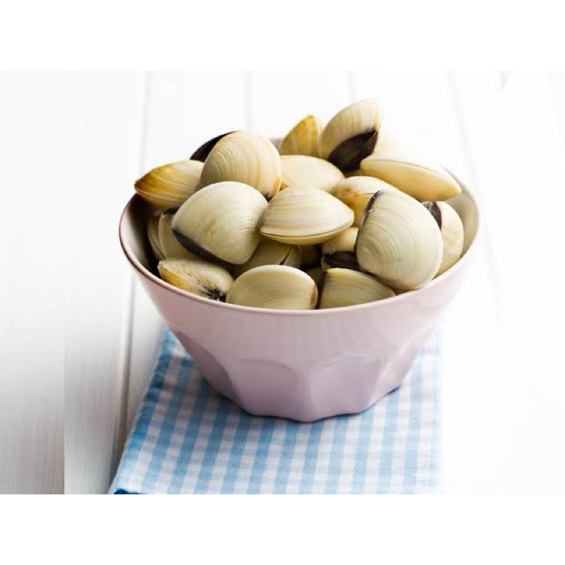 

KERANG TAHU BERSIH 500 GR